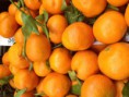 Naranja de Mesa Especial 1KG